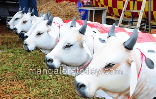 Vishwa tulu parba 2014 mangalore